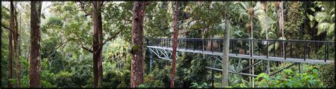 Mt Tamborine Skywalk - Australian Photoholics Forum