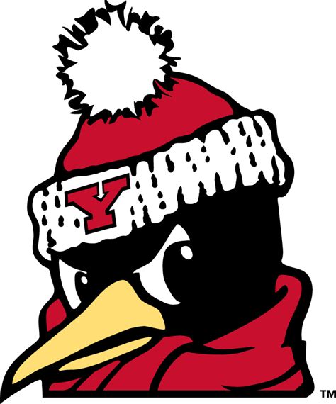 Youngstown State Penguins Logo - Secondary Logo - NCAA Division I (u-z ...