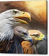 Three Eagles Mixed Media by Carol Cavalaris