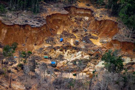 Organized crime drives violence and deforestation in the Amazon, study ...