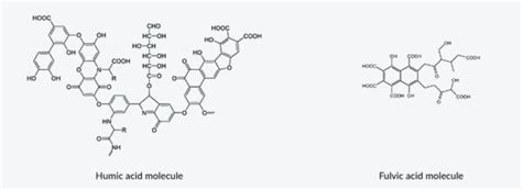 Humic Acid Vs Fulvic Acid In Agriculture - Farmtek® Australia
