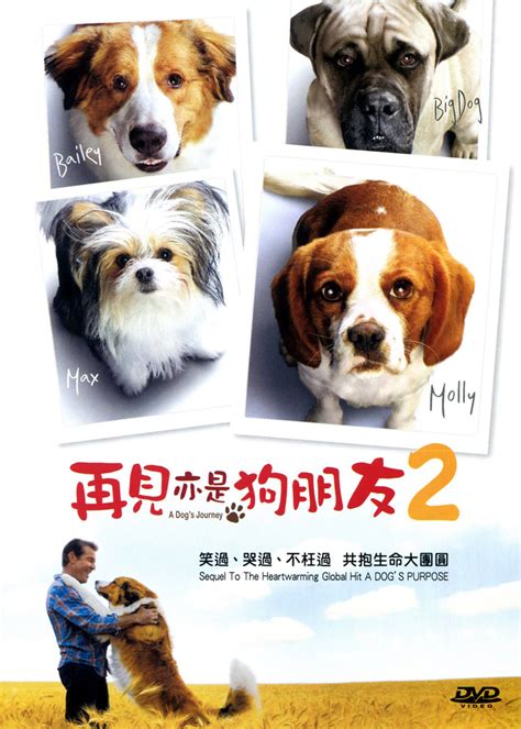 A Dog's Journey