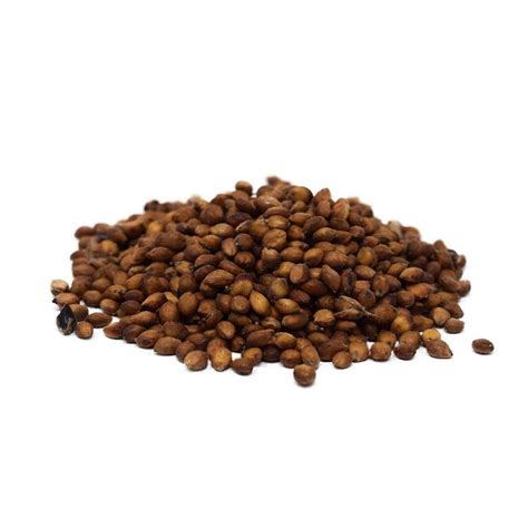 Egyptian Wheat Seed – hancockseed.com