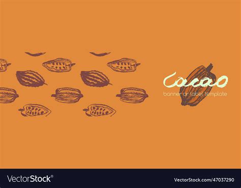 Chocolate label template or cosmetic packaging Vector Image