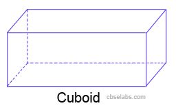 Cuboid - CBSE Tuts