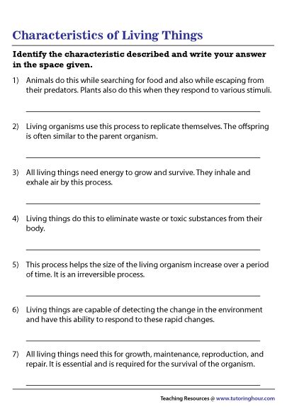 Characteristics of Living Things Worksheet