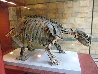 El Pensieve de Dinorider: Fósil de Miércoles: Glossotherium .... la bestia de la lengua