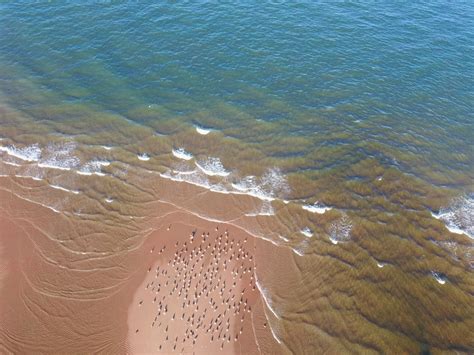 Aerial View of Ocean Waves · Free Stock Photo