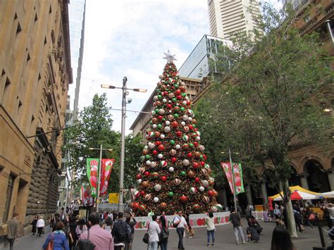 Sydney-Christmas Tree | Mark Cujak's Blog