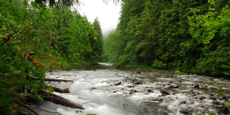 Salmon River, Old Trail | Outdoor Project