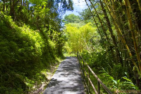 Akaka Falls State Park - Jeffsetter Travel