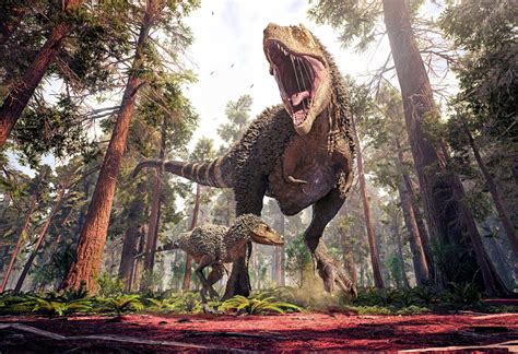 Were there three distinct species of Tyrannosaurus Rex? - Earth.com