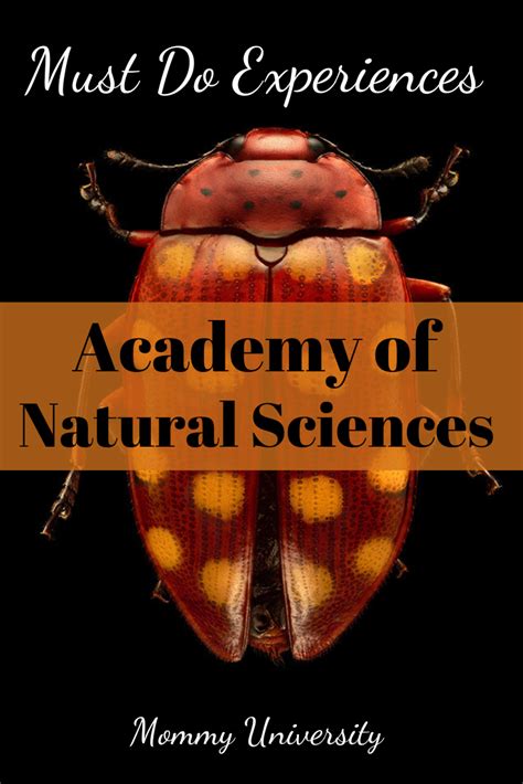 MUST DO Experiences at the Academy of Natural Sciences | Mommy University