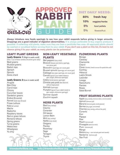 Printable Rabbit Diet Chart - Free Printable Calendar