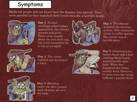 Sketch and label the symptoms of the Black Death - ppt download