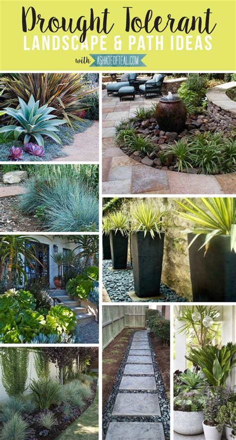 Drought Tolerant Landscape & Path Ideas