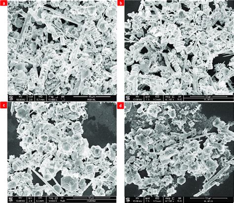 A series of the surfactants (a) no surfactant, (b) CTAB, (c) EDTA, (d)... | Download Scientific ...