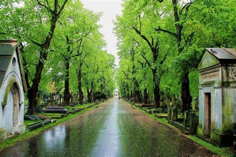 London Natural History Society - Brompton Cemetery