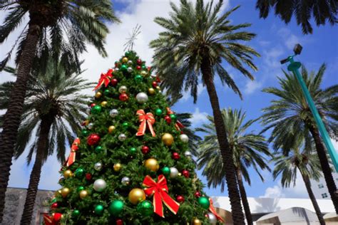 Christmas In Miami Beach Stock Photo - Download Image Now - iStock