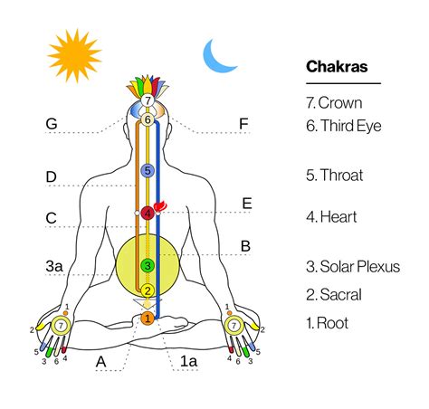 Energetic Anatomy: A Guide to Your Body's Energy Systems