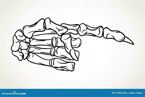 Skeleton Hand Pointing Stock Illustrations – 151 Skeleton Hand Pointing Stock Illustrations ...