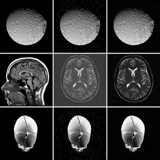 Test of our algorithm to denoise corrupted images with salt and pepper... | Download Scientific ...