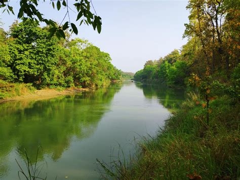 Bardiya National Park, Nepal : r/naturepics