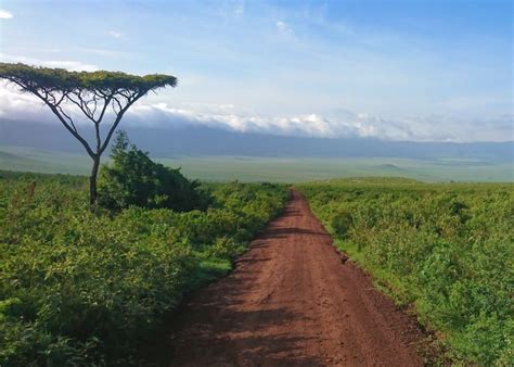 12 great facts about Tanzania's Ngorongoro Crater