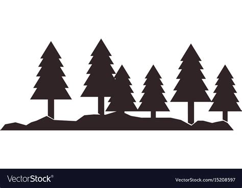 Silhouette pine tree forest natural landscape Vector Image