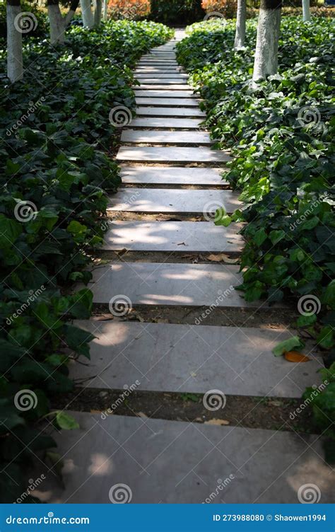 Garden Path in the park stock photo. Image of stone - 273988080