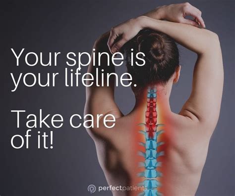 Are you taking care of your spine? | Chiropractic quotes, Chiropractic ...