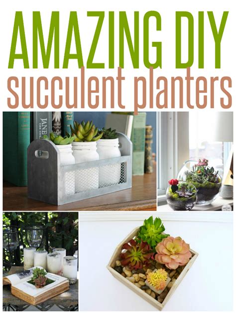 Five Amazing DIY Succulent Planters - Infarrantly Creative