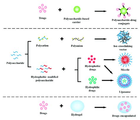 The design strategies of polysaccharide-based drug delivery systems ...