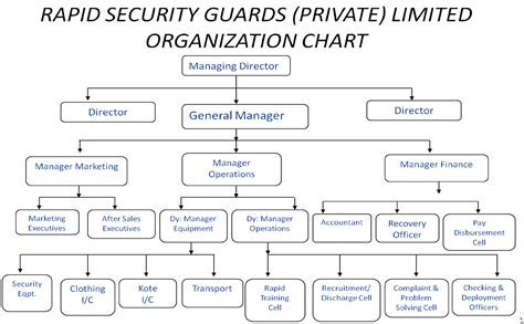 Organization Structure – Rapid Security Guard