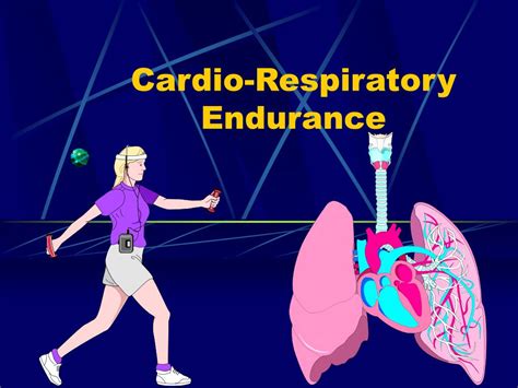 PPT - Cardio-Respiratory Endurance PowerPoint Presentation - ID:305440