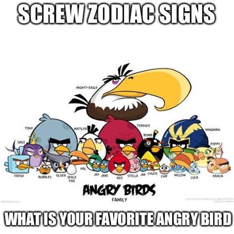 Meme also original image not made by me : r/angrybirds