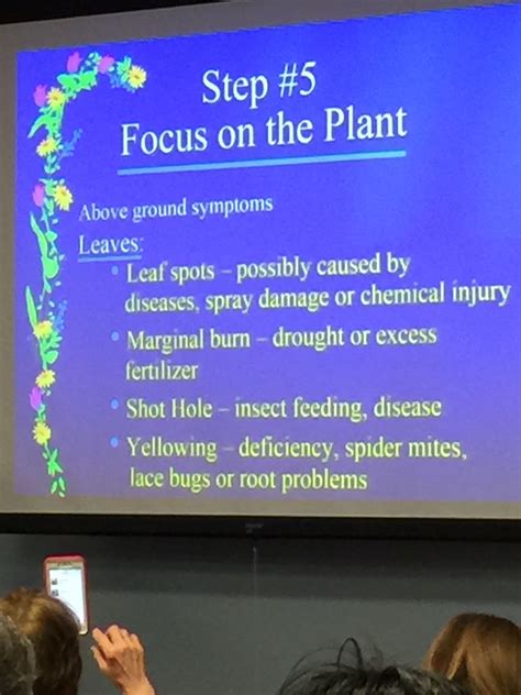 Pin by Rachel Fogarty on MGEV Troubleshooting Landscapes | Drought, Spider mites, Chemical