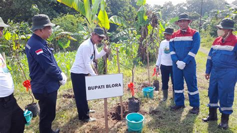 RRI.co.id - Turunkan Emisi, Pertamina EP Field Cepu Tanam Pohon