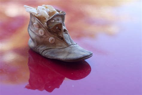 Free Images : hand, pink, conch, close up, art, head, footwear, odyssey, macro photography ...