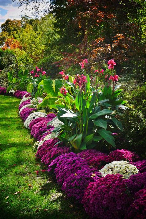 43 Landscaping Ideas With Cannas : Garden Design