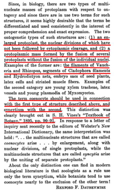 Ma'am, in class you said that coenocytic refers to the dissolution of membranes inside the ...