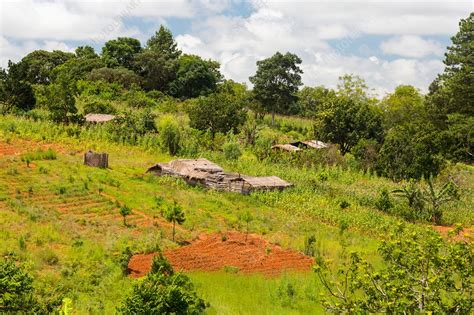 Farmstead, Zomba Plateau, Malawi - Stock Image - C030/0969 - Science Photo Library