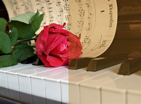 6 of the most romantic pieces to learn this Valentine's Day - Pianist