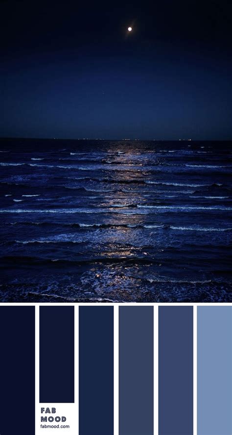 Midnight Blue and Powder Blue Color Palette
