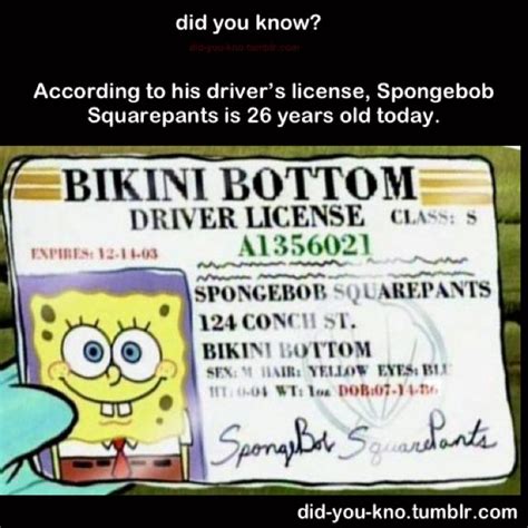 spongebob driver license template - Jacquetta Bagley