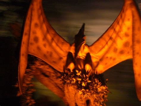 Primeval World: Pteranodon Up Close by kylgrv on DeviantArt