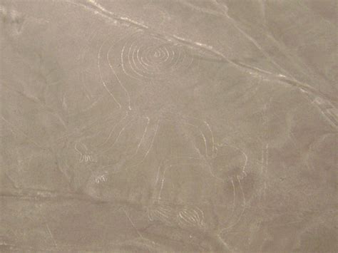 File:Nazca Lines, Monkey.JPG - Wikitravel Shared