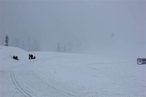 Romancing the Snow in Kashmir - Tripoto