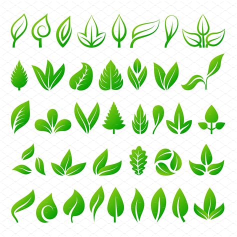 Leaf icons vector illustration | Tree logo design, Leaf illustration ...