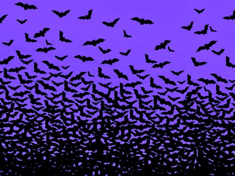 Halloween Bats Background